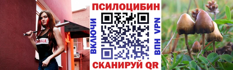 darknet официальный сайт  закладка  Знаменск  Псилоцибиновые грибы Psilocybine cubensis 